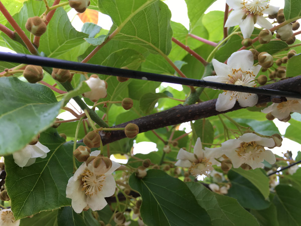 2016050702.JPG