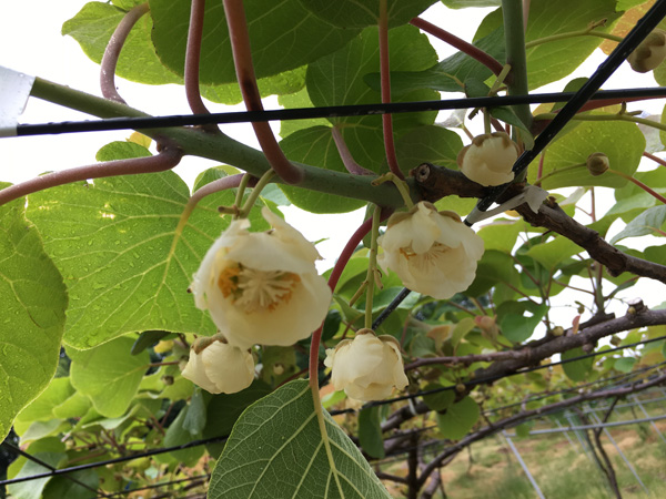 2016050703.JPG